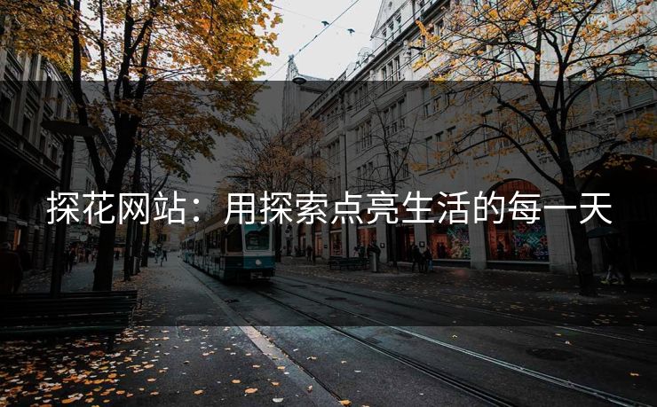 探花网站：用探索点亮生活的每一天