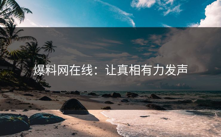 爆料网在线：让真相有力发声