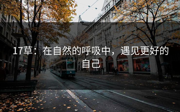 17草：在自然的呼吸中，遇见更好的自己