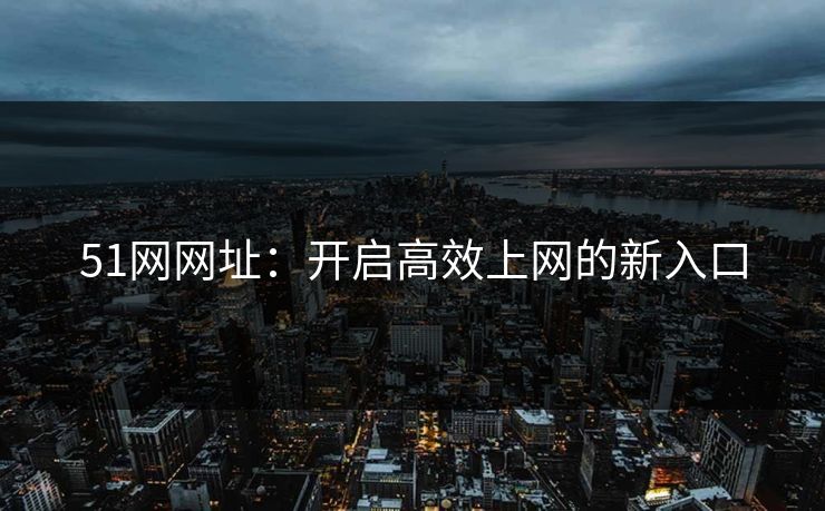 51网网址：开启高效上网的新入口