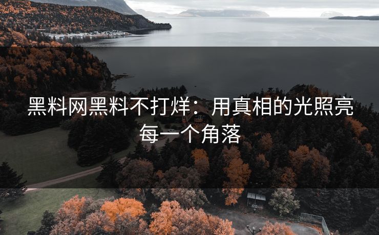 黑料网黑料不打烊：用真相的光照亮每一个角落