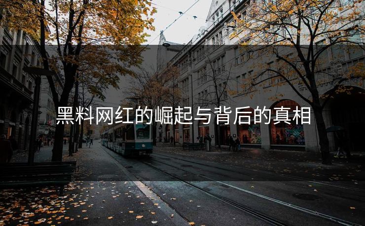 黑料网红的崛起与背后的真相