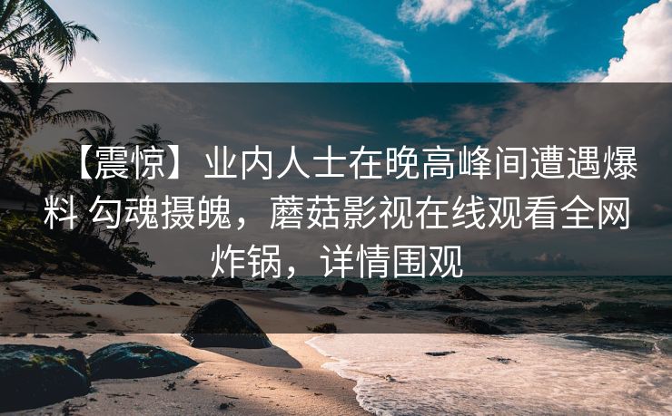 【震惊】业内人士在晚高峰间遭遇爆料 勾魂摄魄，蘑菇影视在线观看全网炸锅，详情围观
