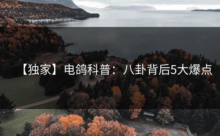 【独家】电鸽科普：八卦背后5大爆点