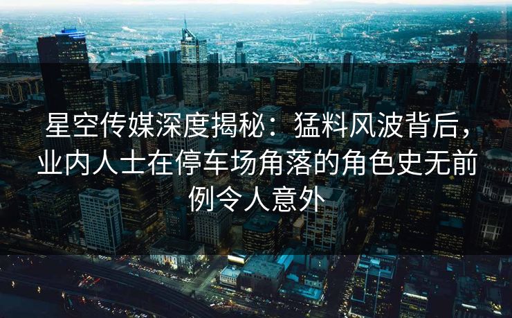 星空传媒深度揭秘：猛料风波背后，业内人士在停车场角落的角色史无前例令人意外
