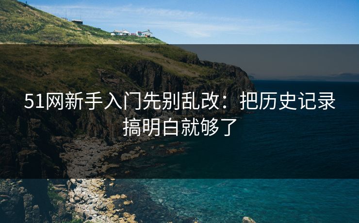 51网新手入门先别乱改:把历史记录搞明白就够了